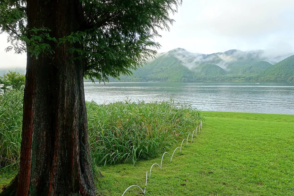 Quiet Lake Ashi shoreline with cedar trees and layered mountains in Hakone