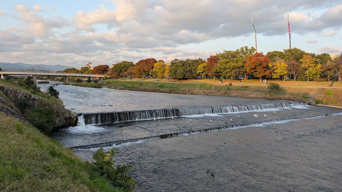 Kamo River in Kyoto bordered by autumn trees with mountains in the distance